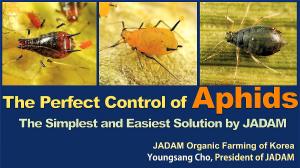 The Perfect Control of Aphids